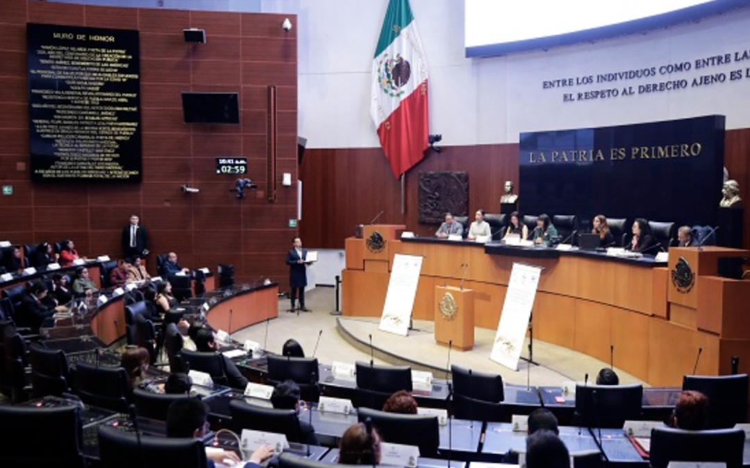 Necesario, abrir espacios a las nuevas generaciones, coinciden jóvenes estudiantes en el Senado de la República